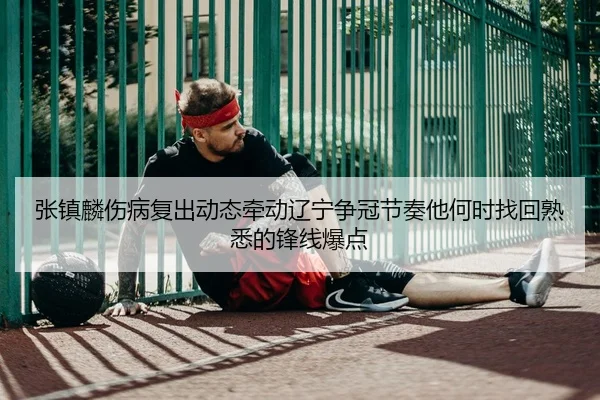 张镇麟伤病复出动态牵动辽宁争冠节奏他何时找回熟悉的锋线爆点